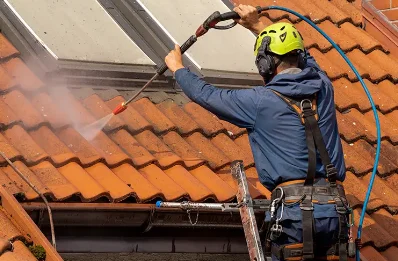 Démoussage et hydrofuge de toiture au Vintrou